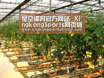 种植基地二(图1)