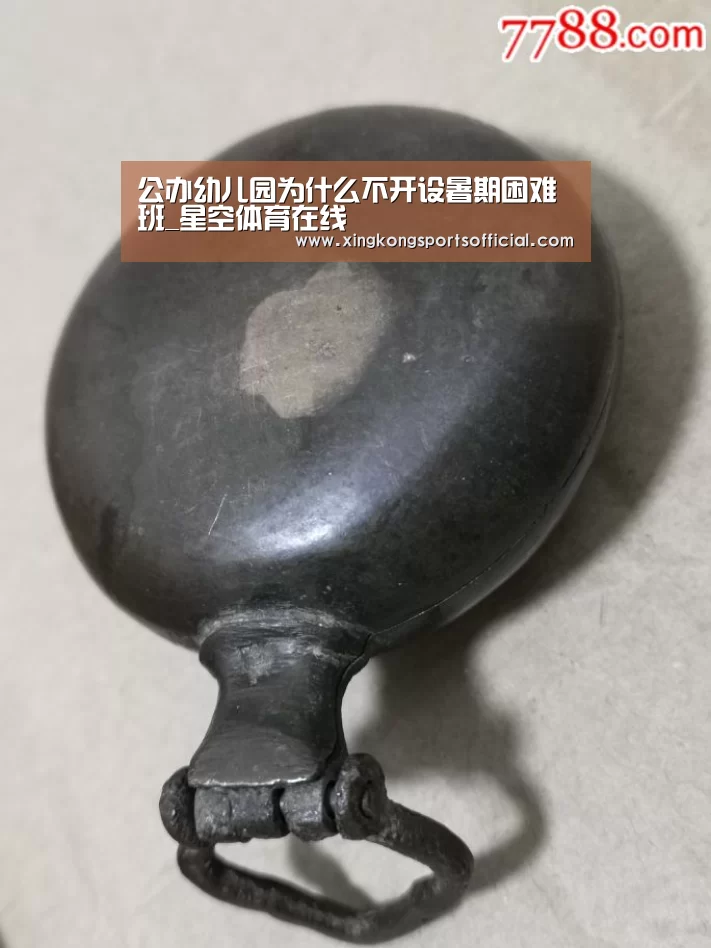 公办幼儿园为什么不开设暑期困难班_星空体育在线(图2) 星空体育官方登录