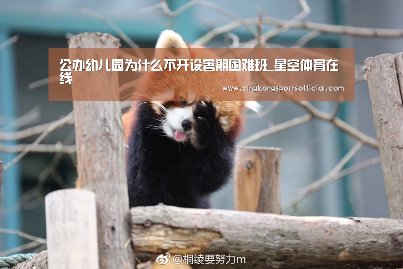公办幼儿园为什么不开设暑期困难班_星空体育在线(图1) 星空体育在线