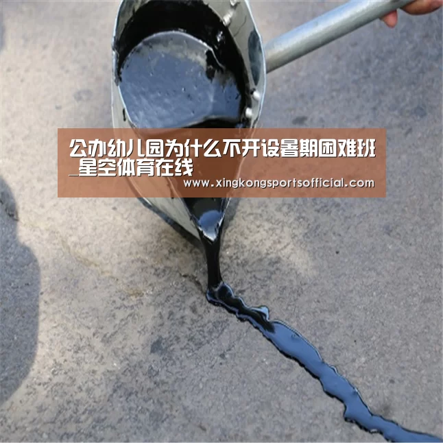 公办幼儿园为什么不开设暑期困难班_星空体育在线(图3) 星空体育官方登录官网
